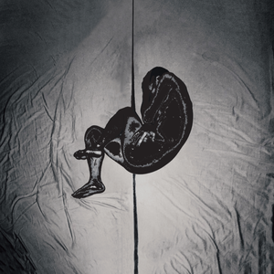 欧美一区二区A片
