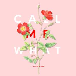 欧美一区二区A片
